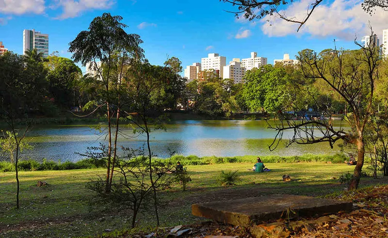 bairro aclimação parque